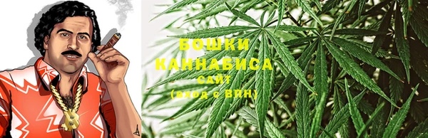 трава Бородино