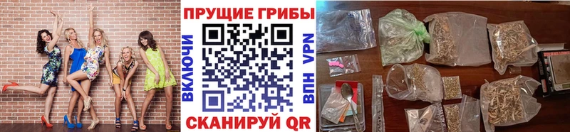 Галлюциногенные грибы ЛСД  ссылка на мегу как зайти  Чебоксары 